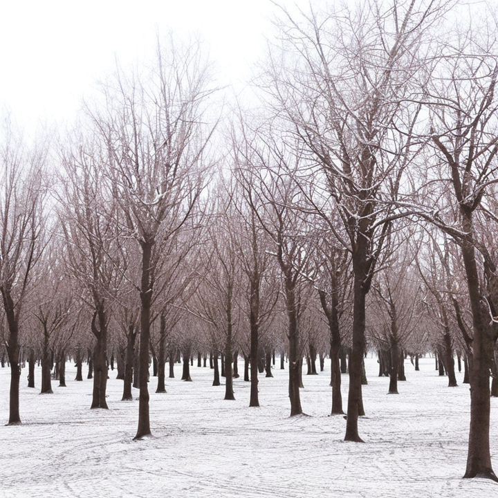 Apple orchard generated with thinking